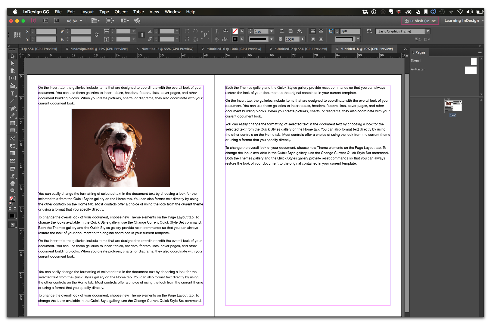 InDesign CCss_037.png